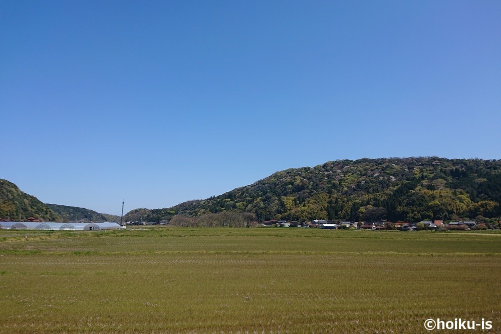 畑と山