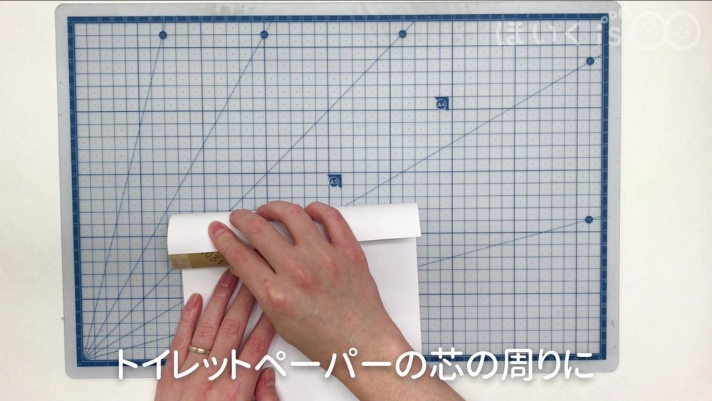 トイレットペーパーの芯の周りに