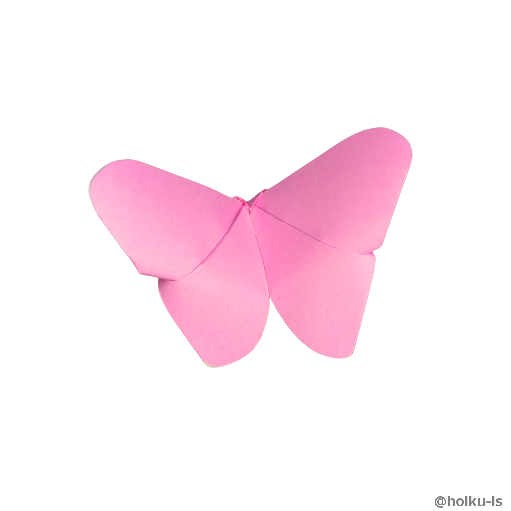 半分に折ります