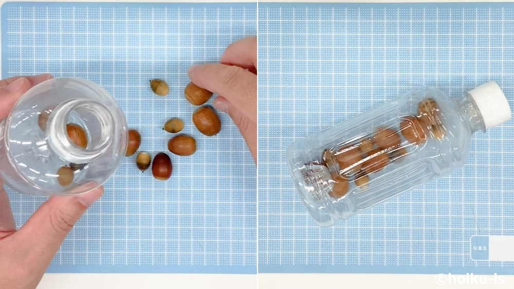 どんぐりマラカスの製作手順