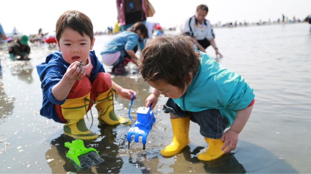 海の恵み