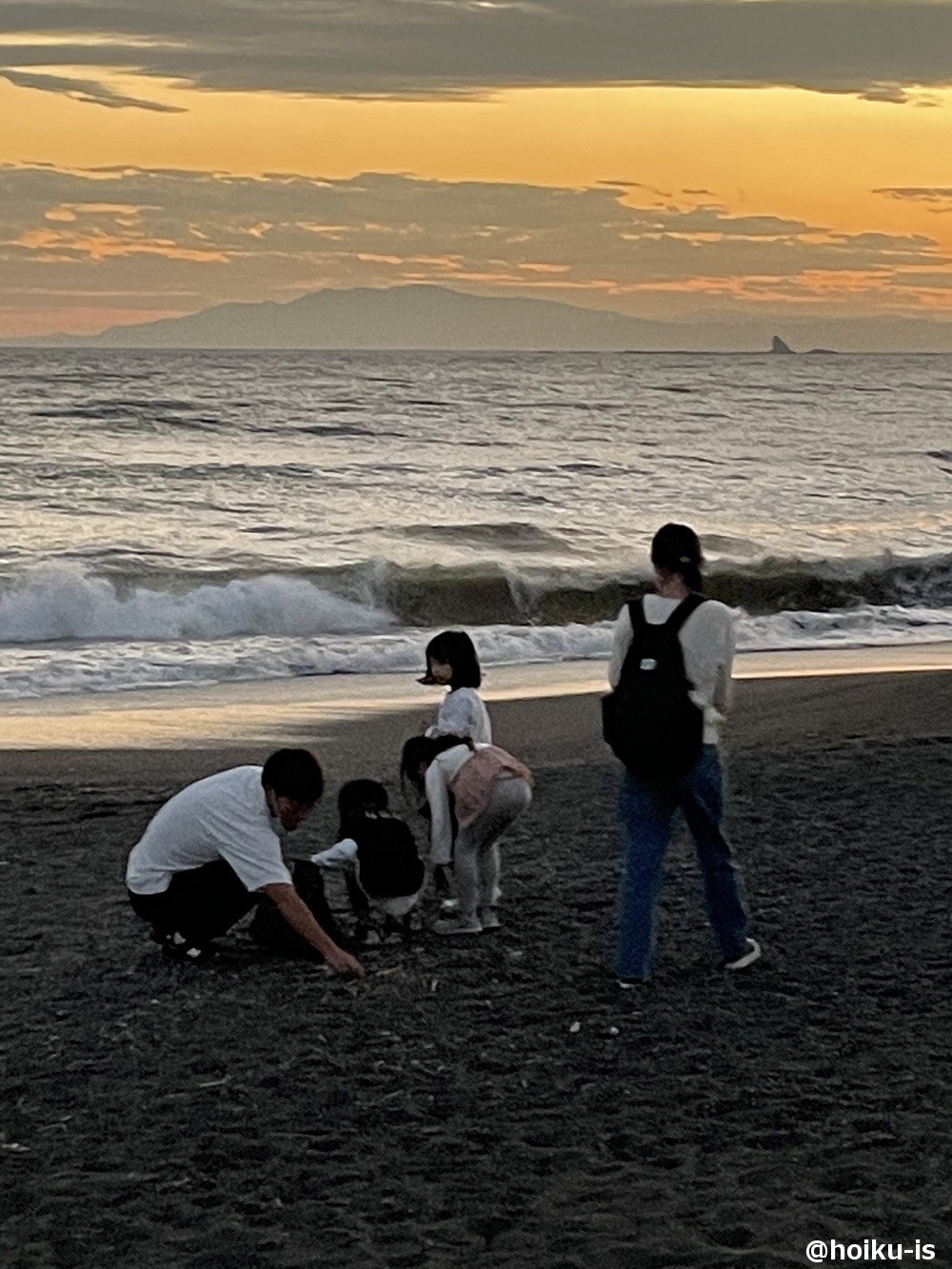 海で枝や流木を拾う親子の写真