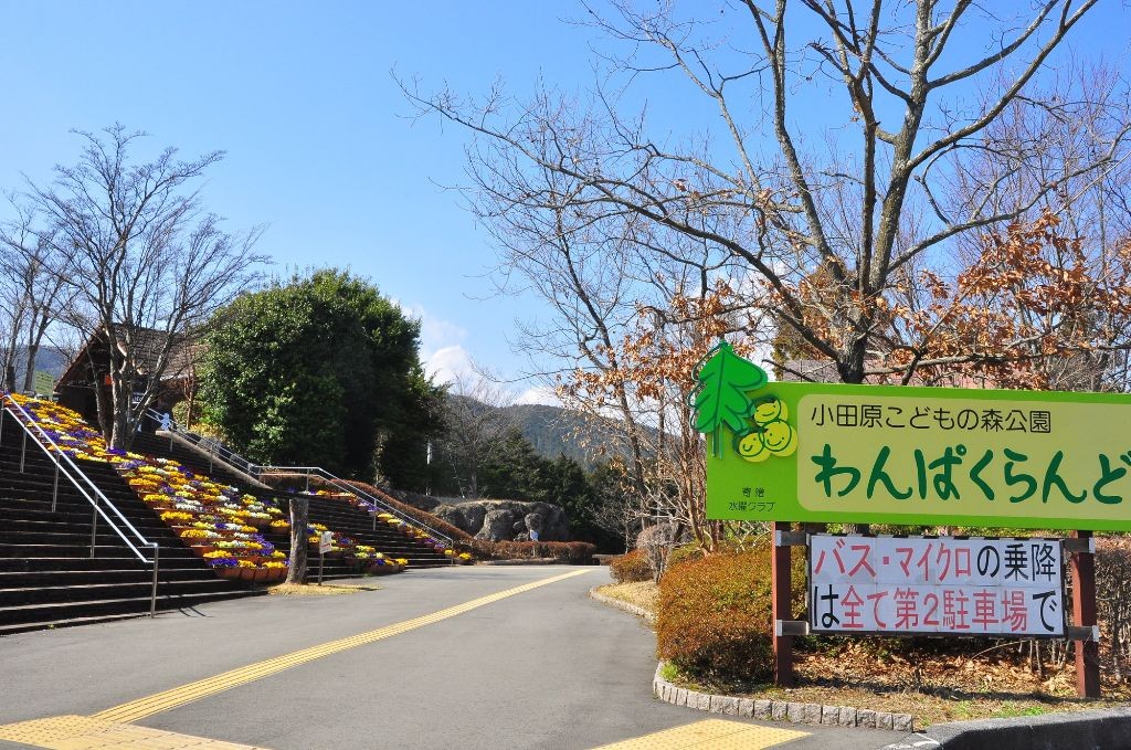 わんぱくらんど