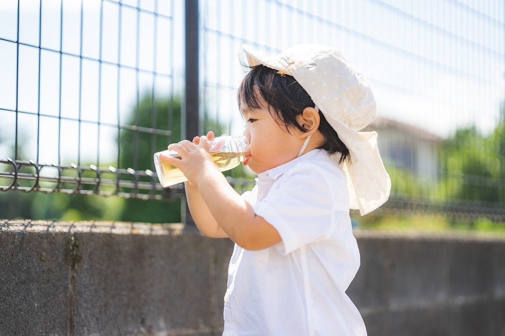 夏の屋外で水分補給をする園児