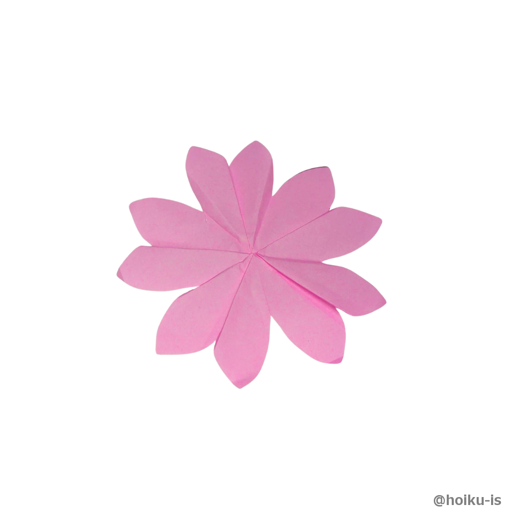 そっと開くと立体的な桜の花びらの出来上がり