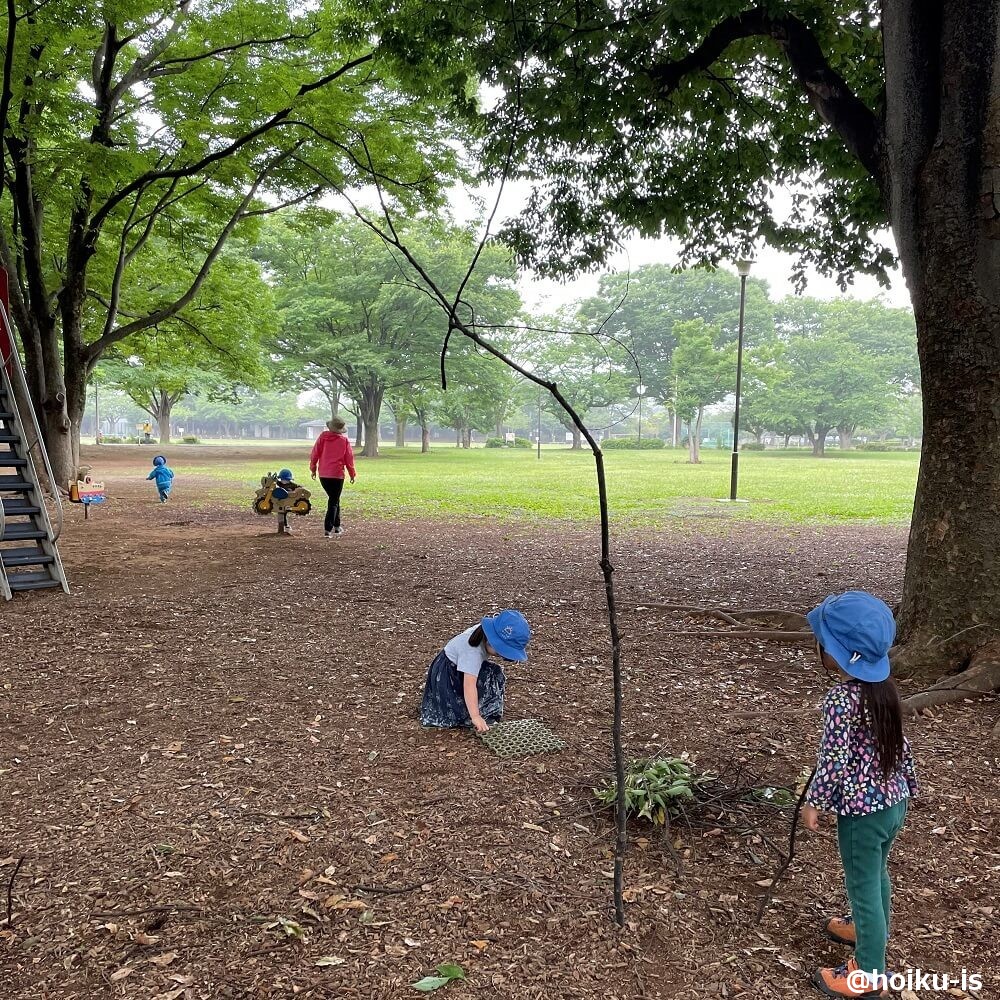 戸外遊びをする子どもたち