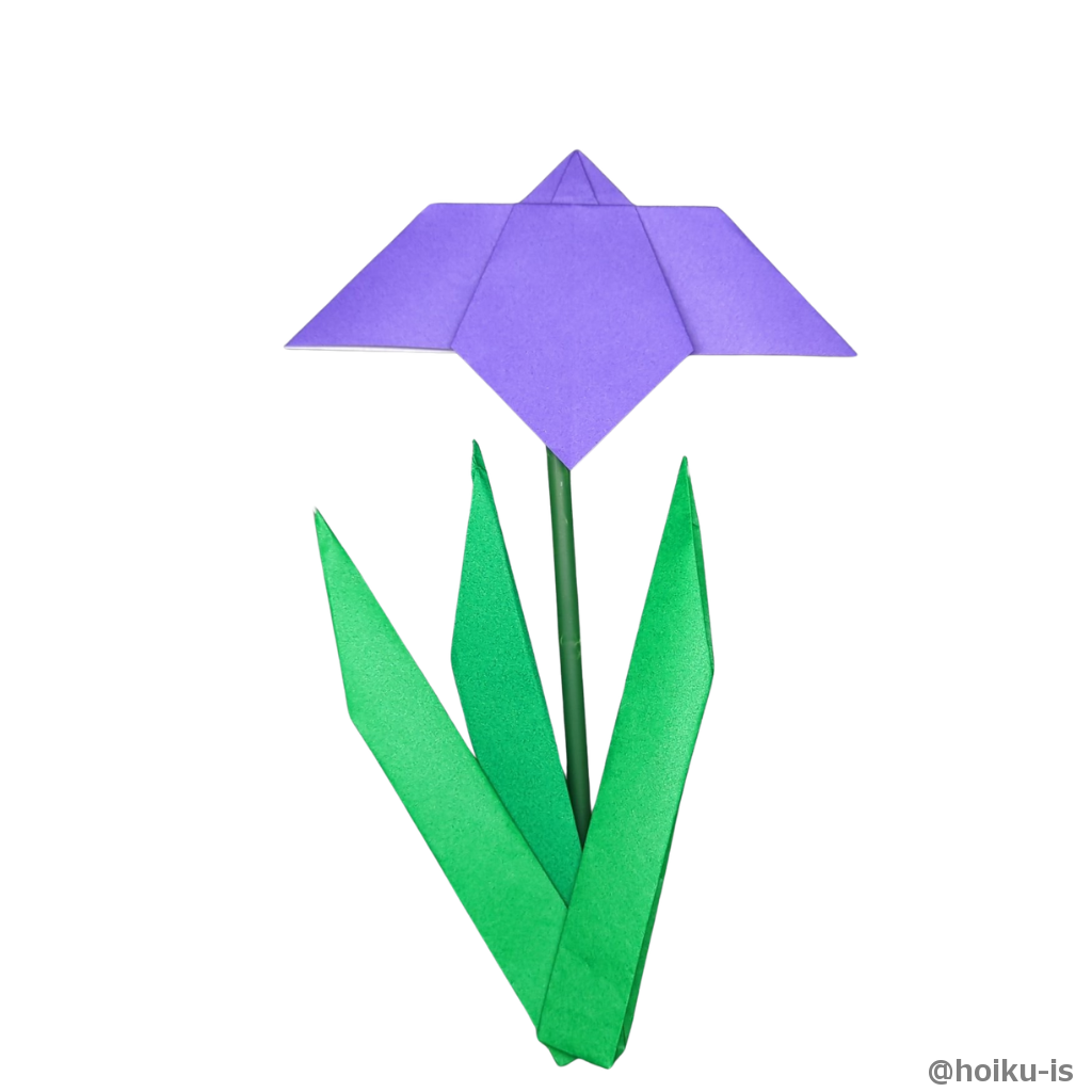 菖蒲の花の折り紙の完成です