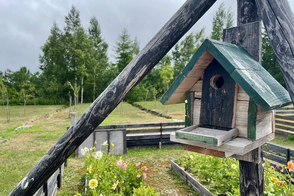木に取り付けられた木製の鳥小屋