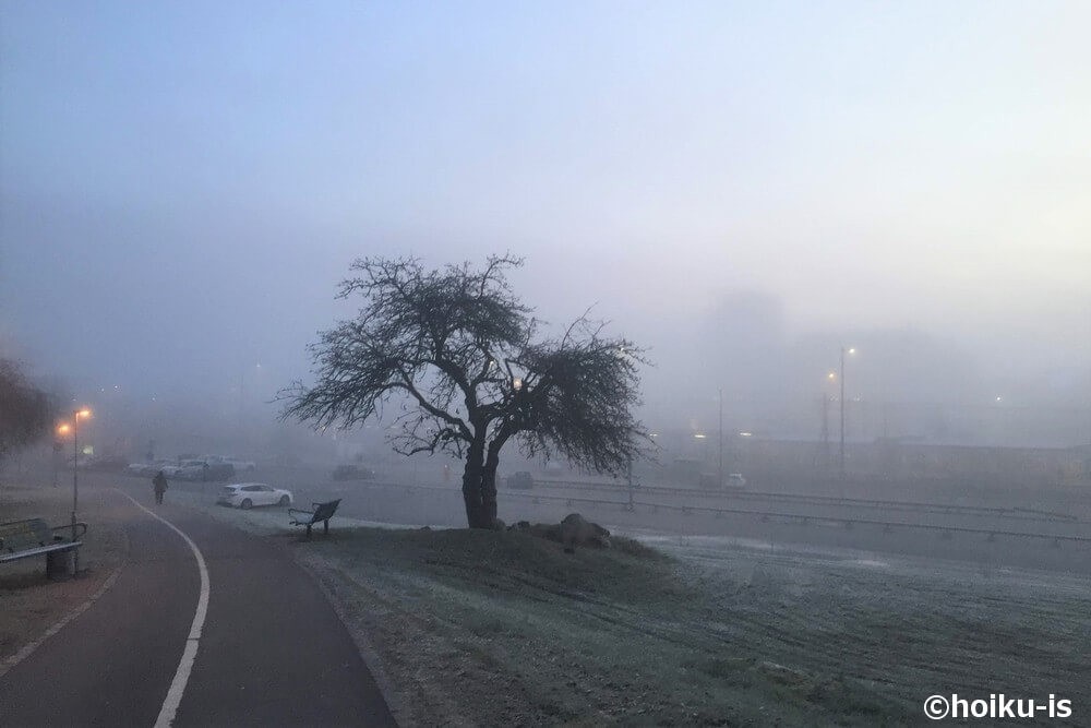 霧がかかったスウェーデンの街の風景