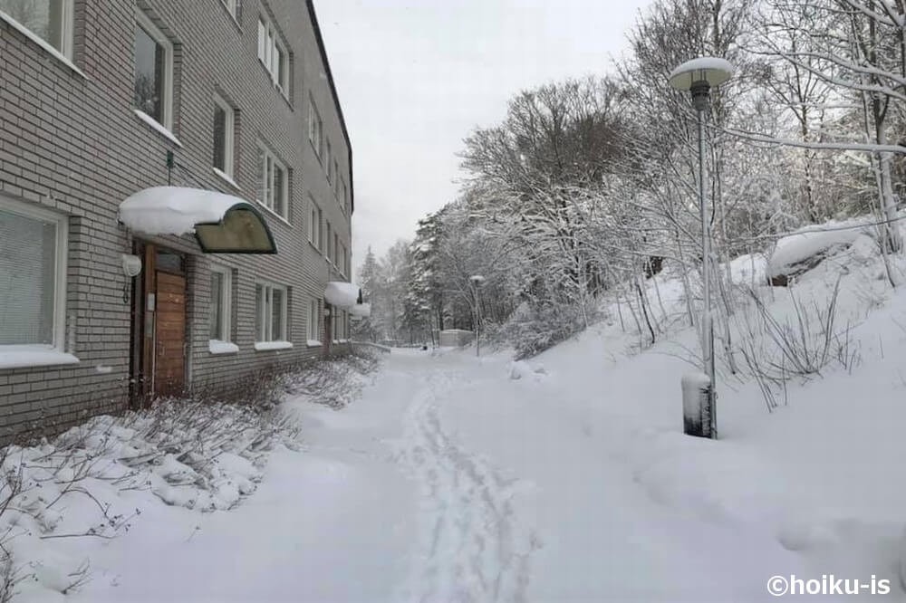 雪に覆われた冬のスウェーデンの風景