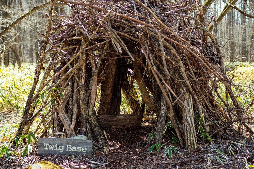 木の枝で作られた秘密基地