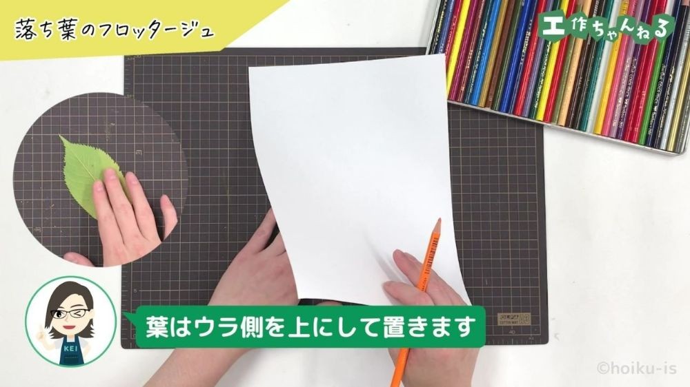 裏返しになった葉っぱとコピー用紙