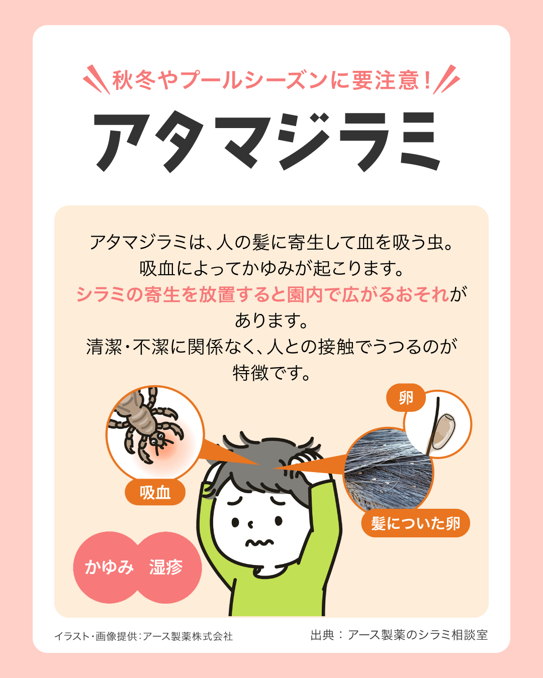 秋冬やプールシーズンに要注意！アタマジラミ