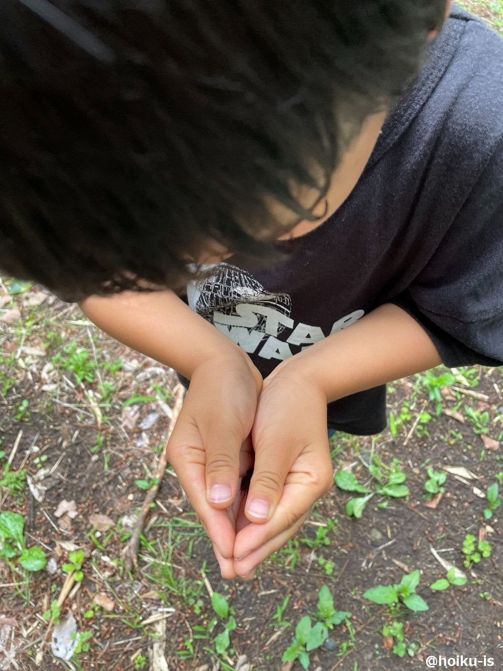虫を捕まえた子ども