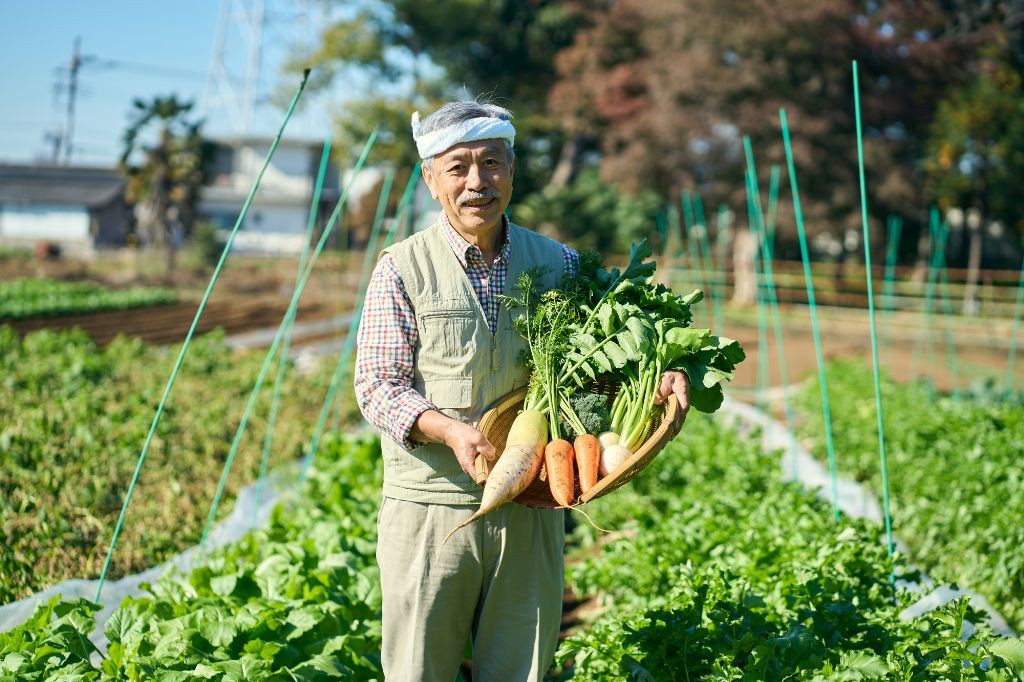 大根農家をイメージした先生