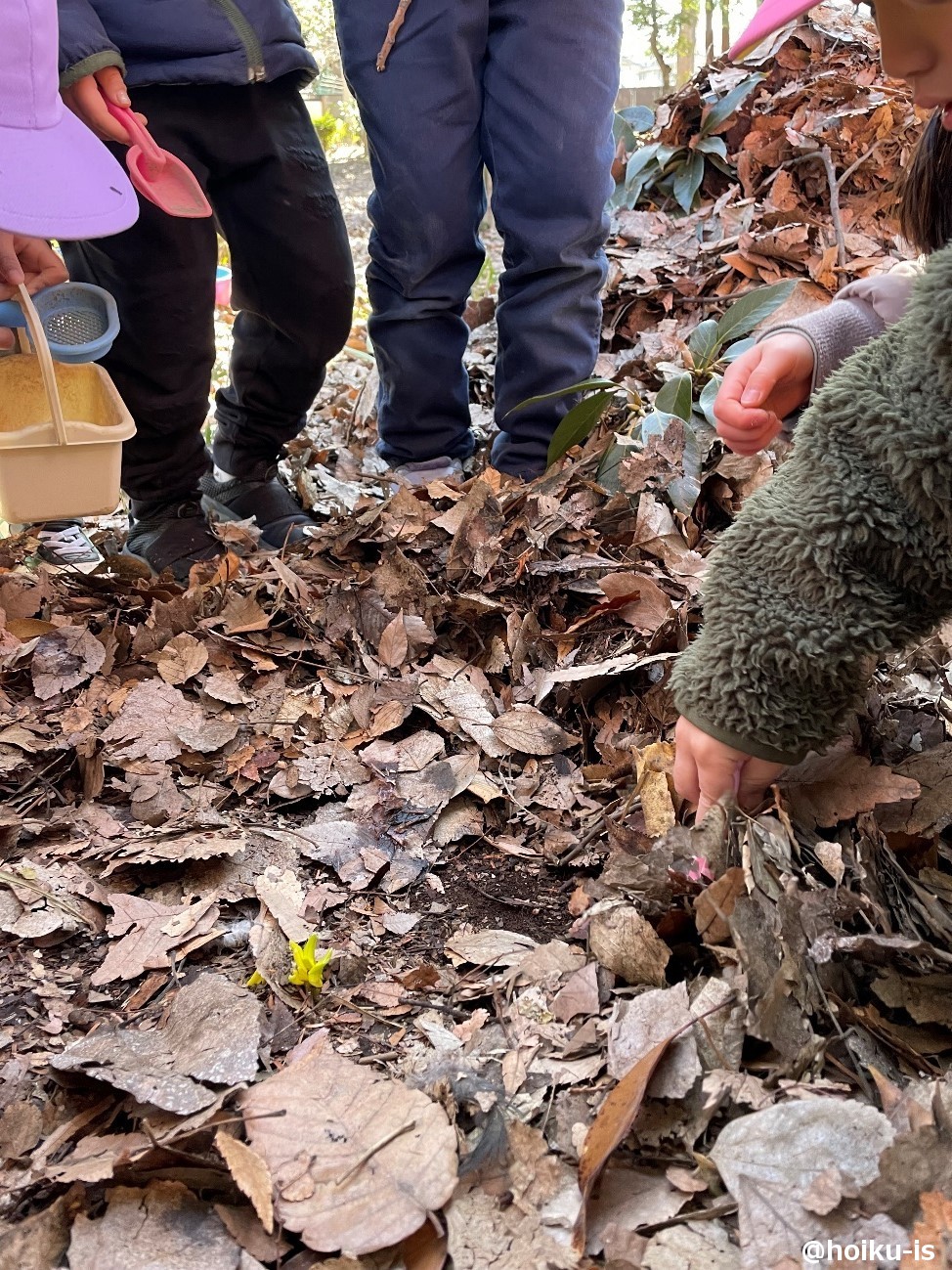 公園で遊ぶ子どもたち