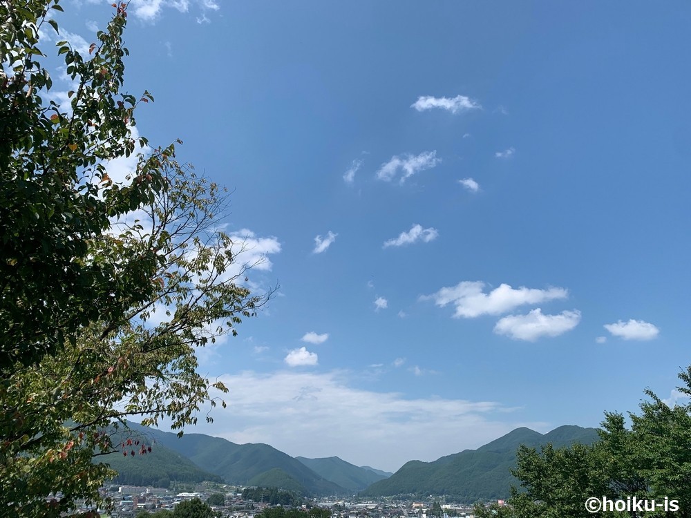 青空と自然