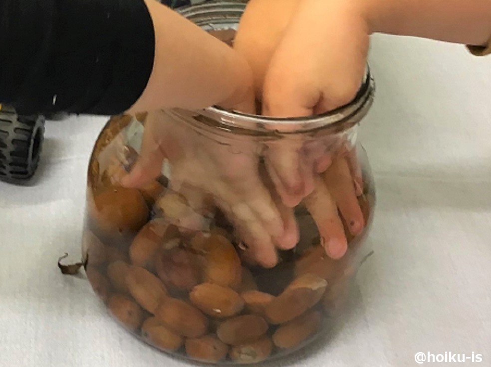 どんぐりで感触遊び