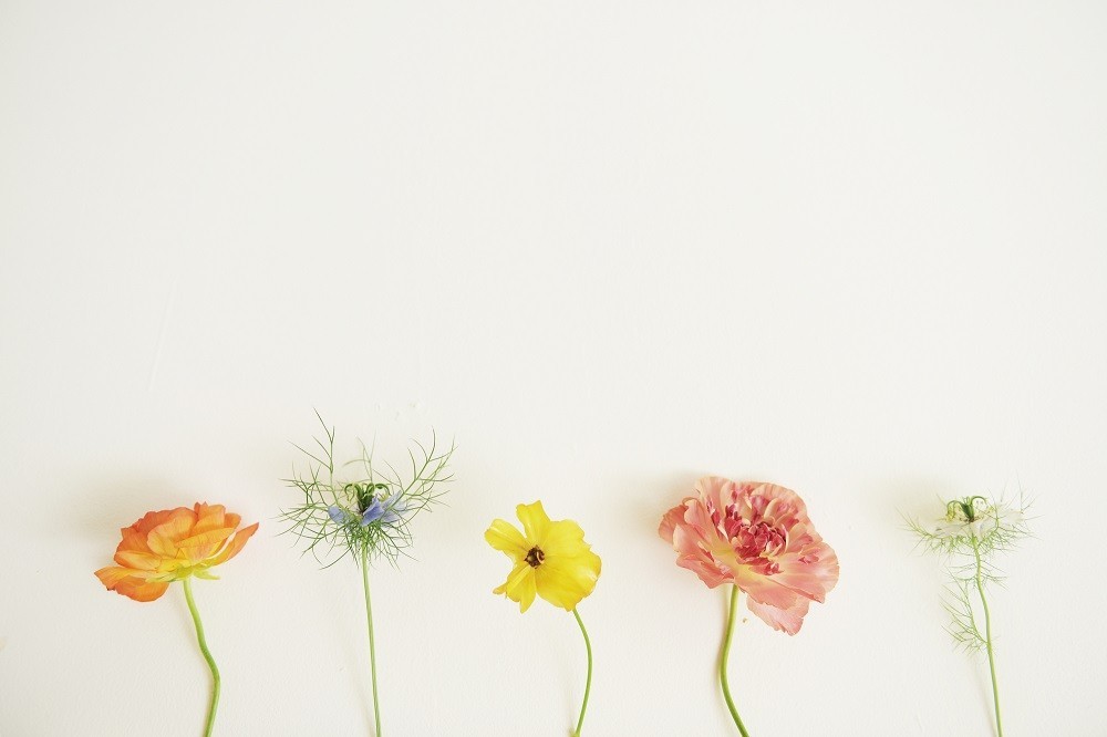 形も色も異なる5つの花