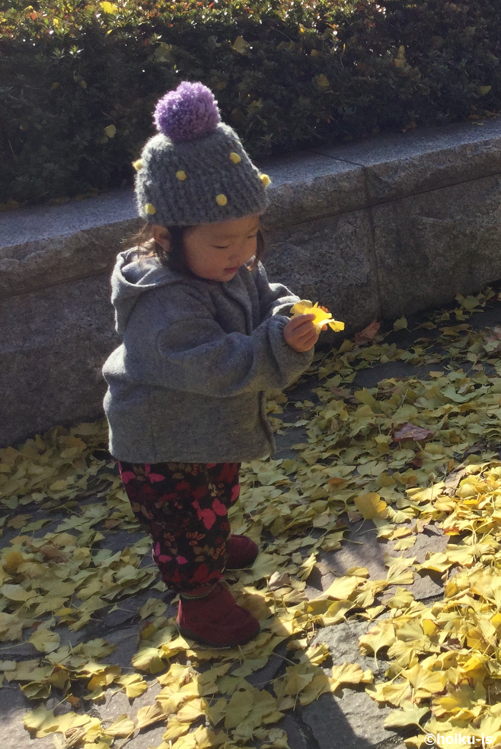 イチョウの葉を持っている子ども