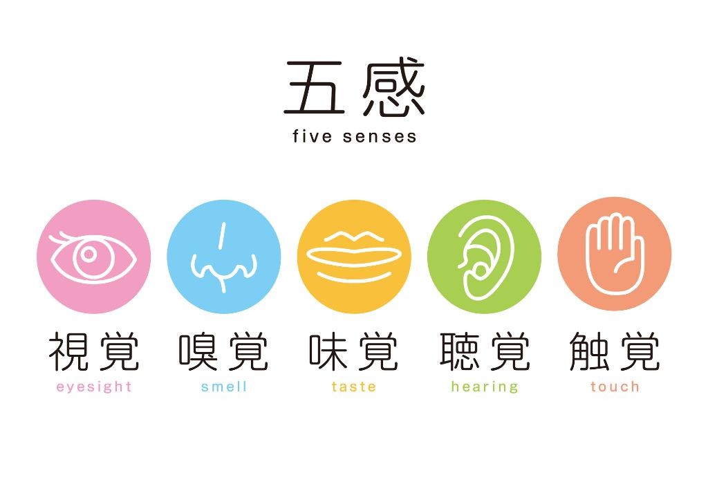 五感を刺激する遊びやおもちゃ