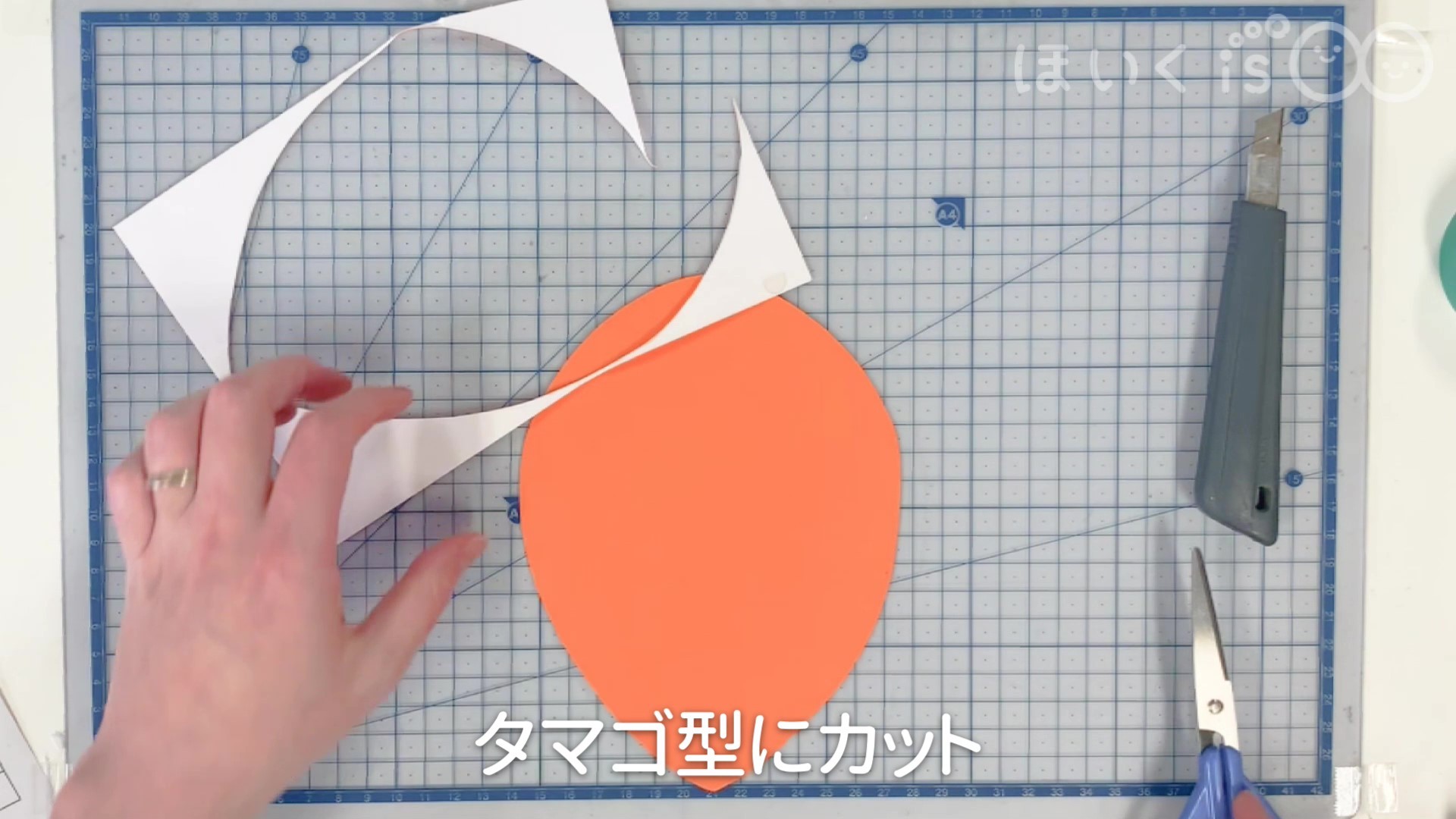 タマゴ型にカット