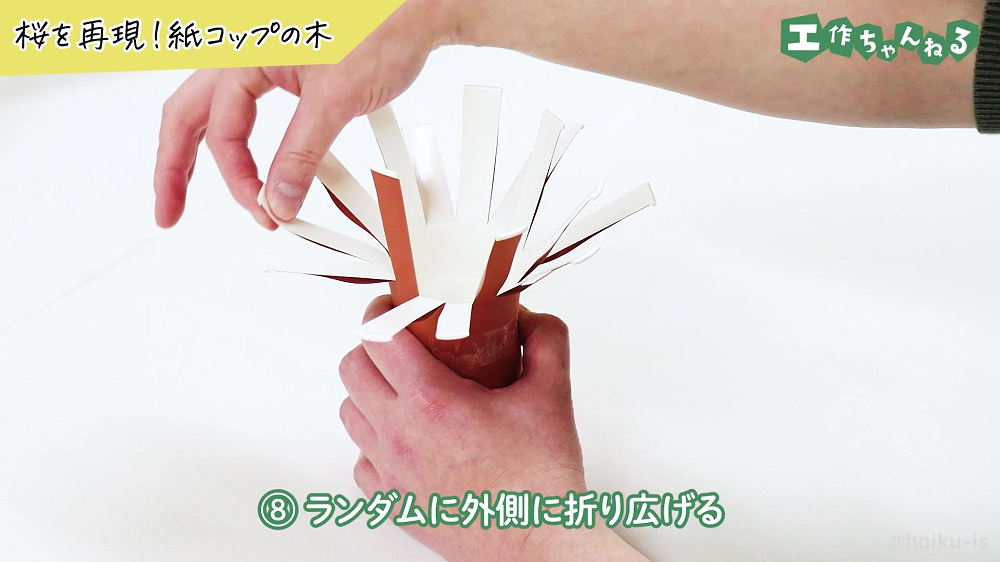 紙コップの切れ込みが入った部分を外に広げている様子