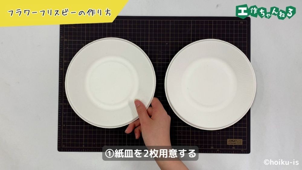 紙皿を2枚並べる