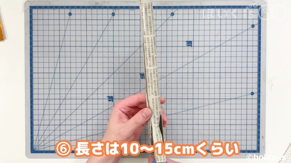 長さは10~15cmくらい