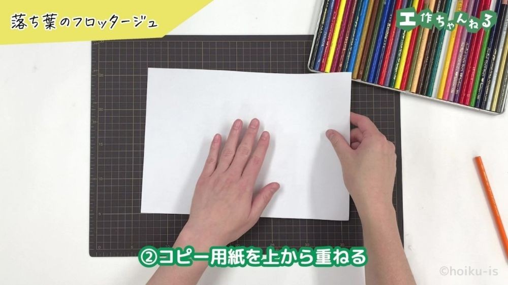 葉っぱの上にコピー用紙を重ねている手元