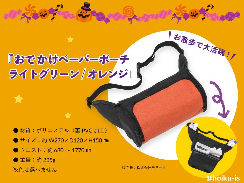おでかけペーパーポーチをプレゼント(ほいくis)