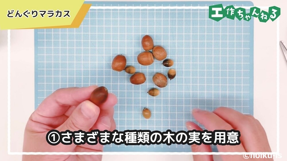 さまざまな種類の木の実を用意