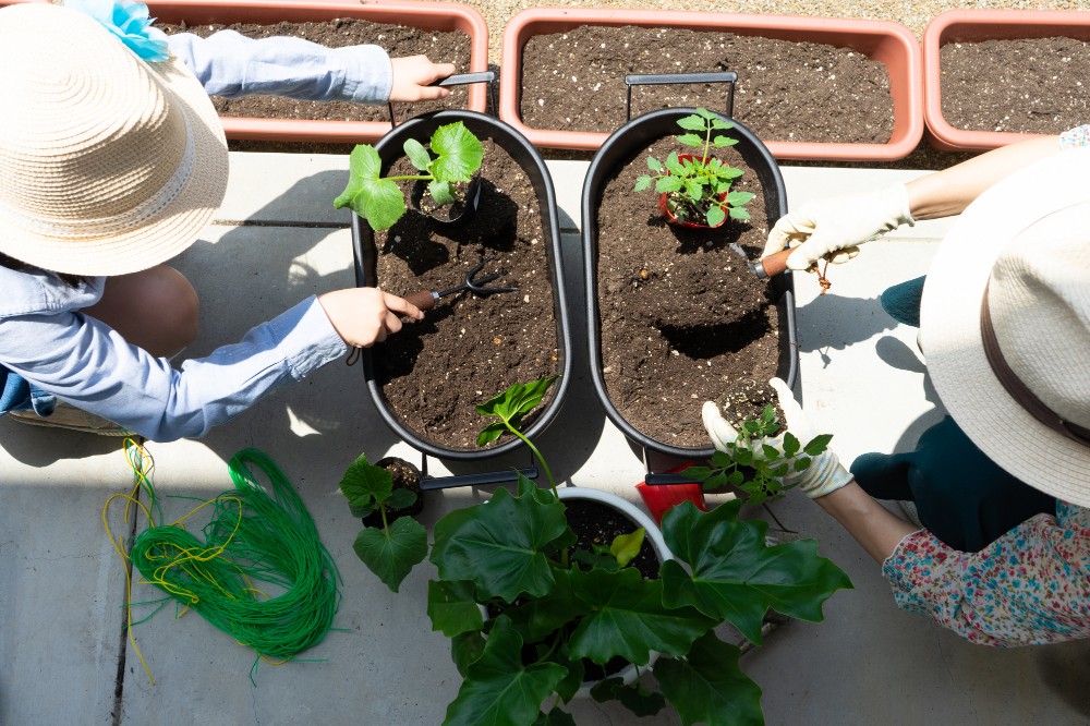 園芸をする様子