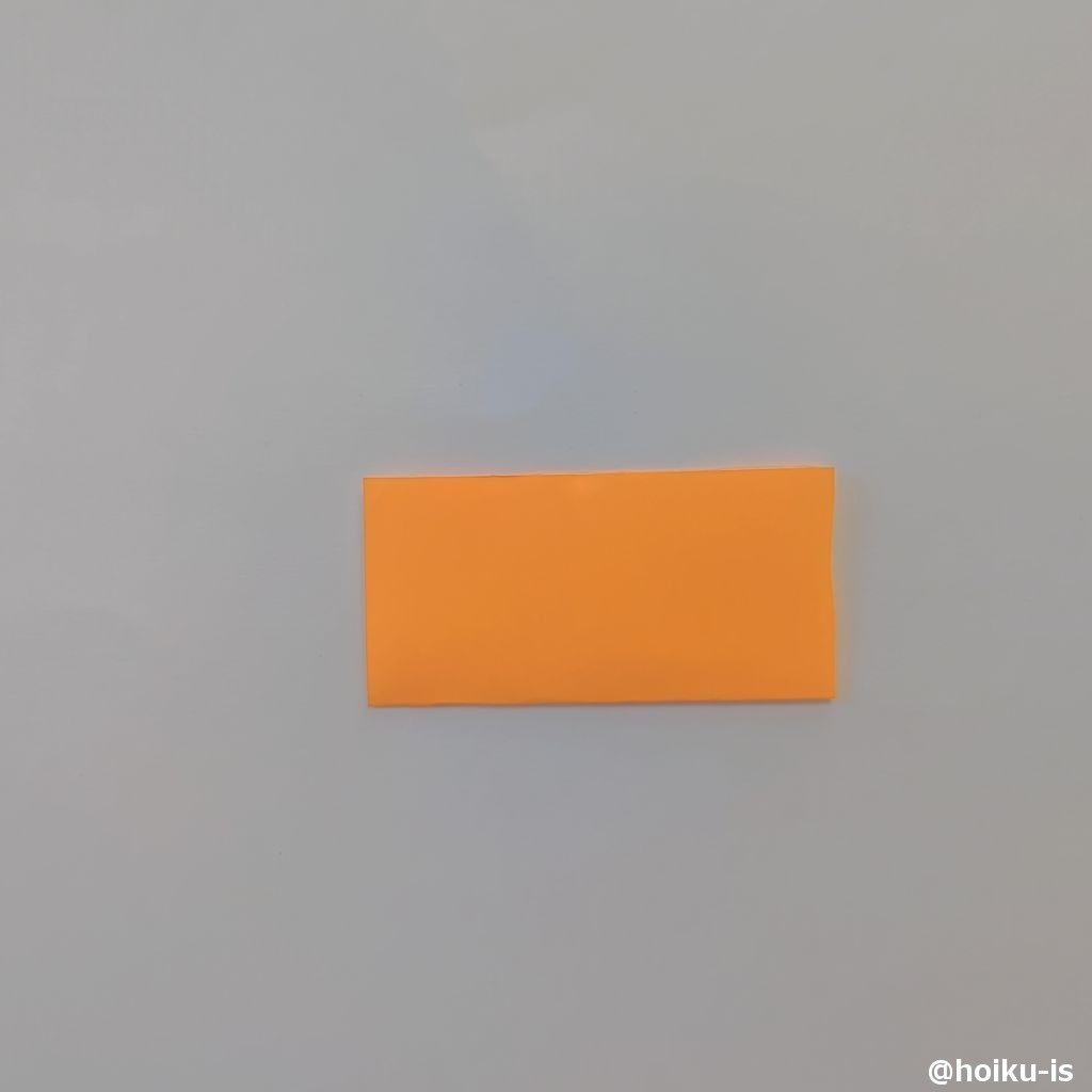 折り紙を半分に折る