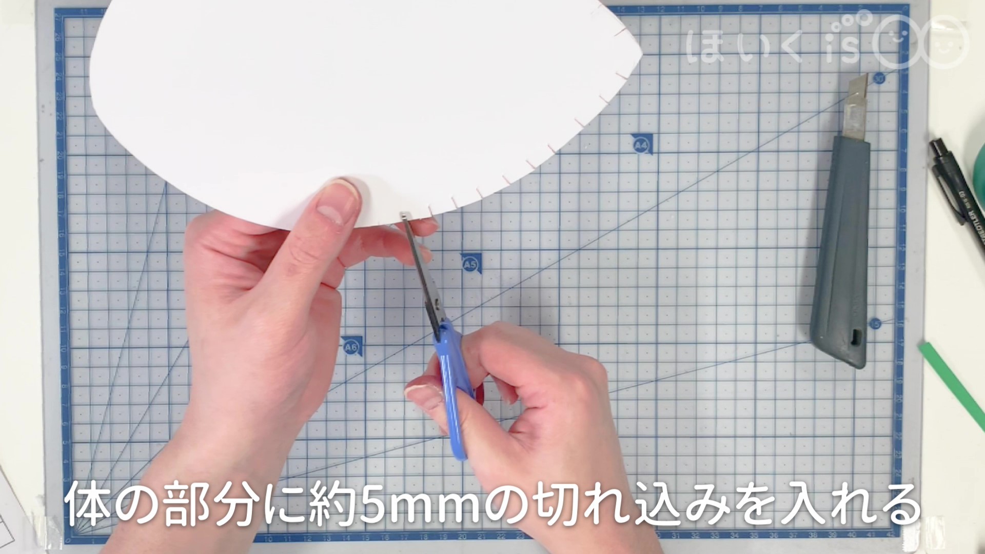 体の部分に約5mmの切れ込みを入れる