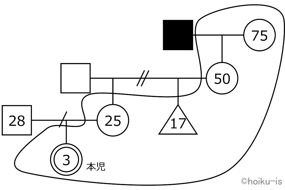 園児を中心としたジェノグラムの記載事例