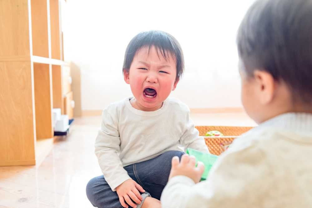 お友達におもちゃを取り上げられる保育園児