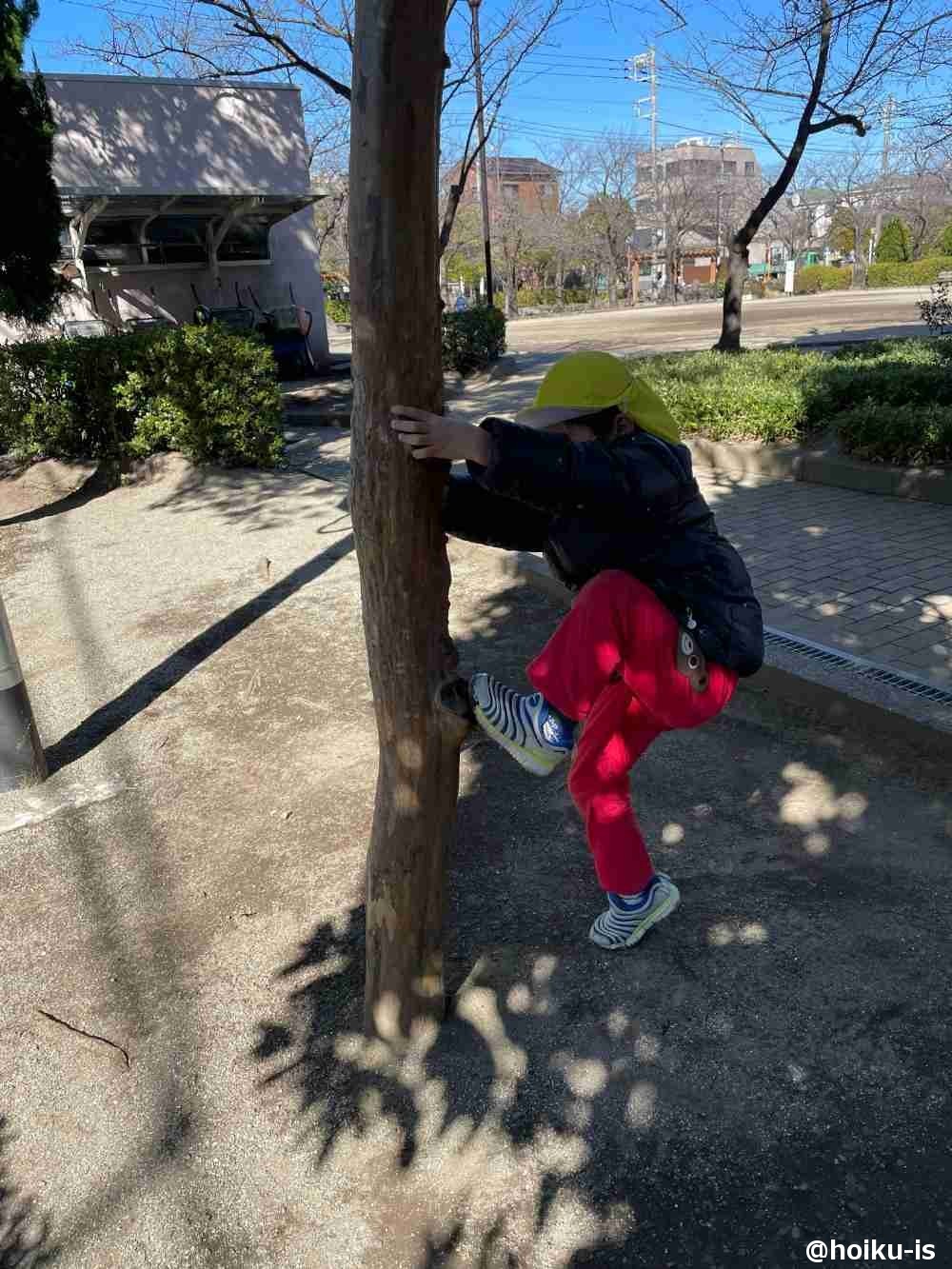 木登りをする園児