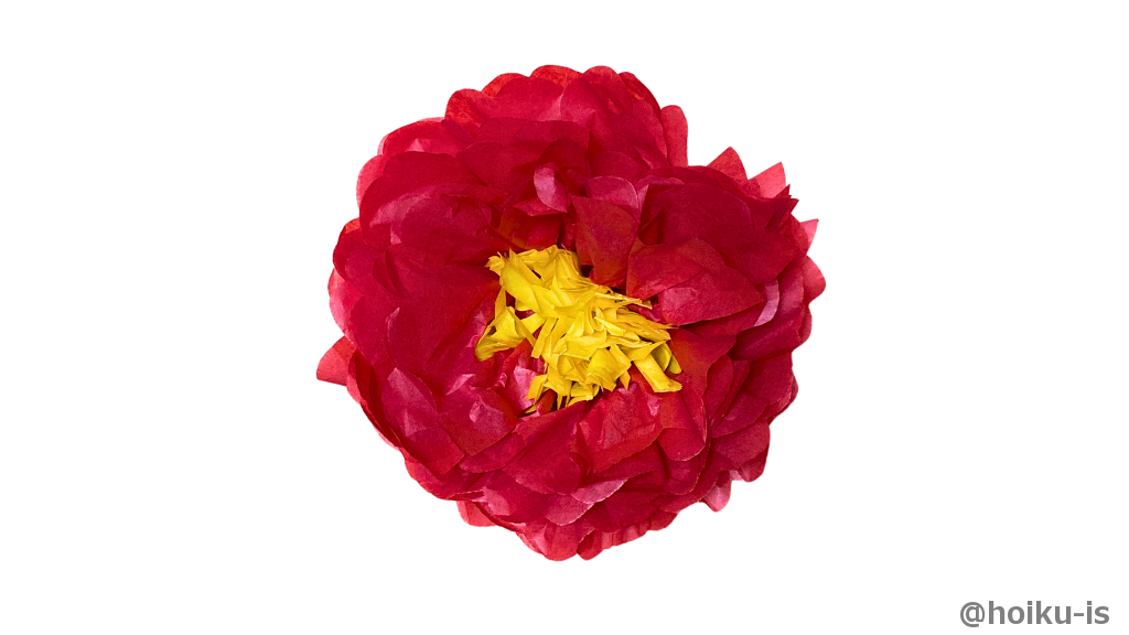 左右交互にお花紙を開けば出来上がり