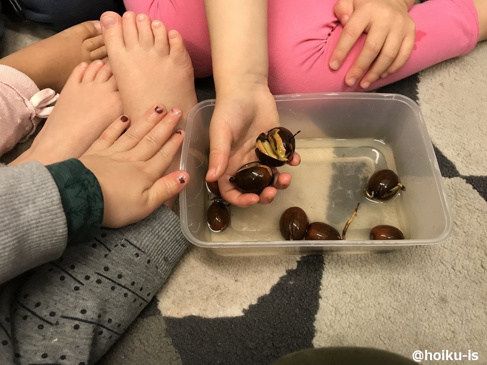 子ども主体の保育に!スウェーデンのプロジェクト活動「りすのプロジェクト」