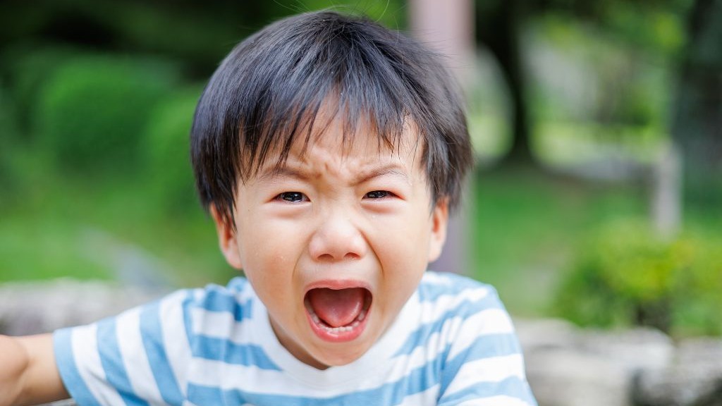 「キー」、「キャー」と奇声をあげる子ども　　その理由と支援方法