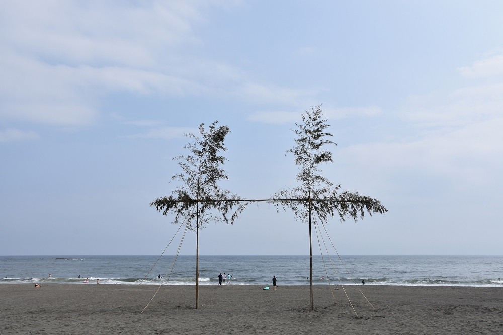 砂浜に立てられた木
