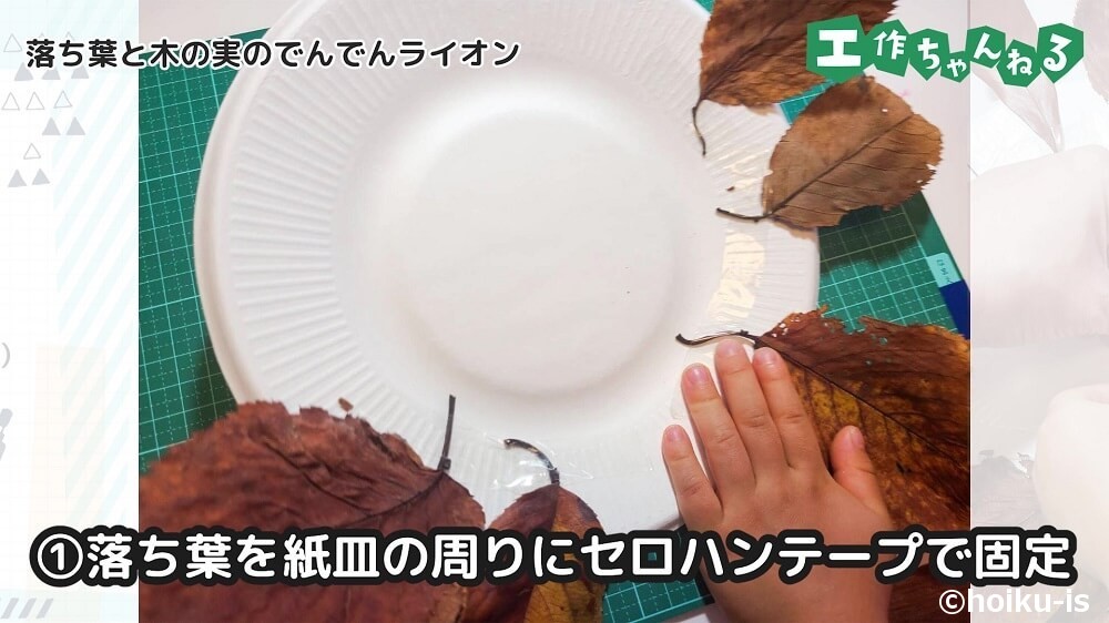 落ち葉を紙皿の周りにセロハンテープで固定