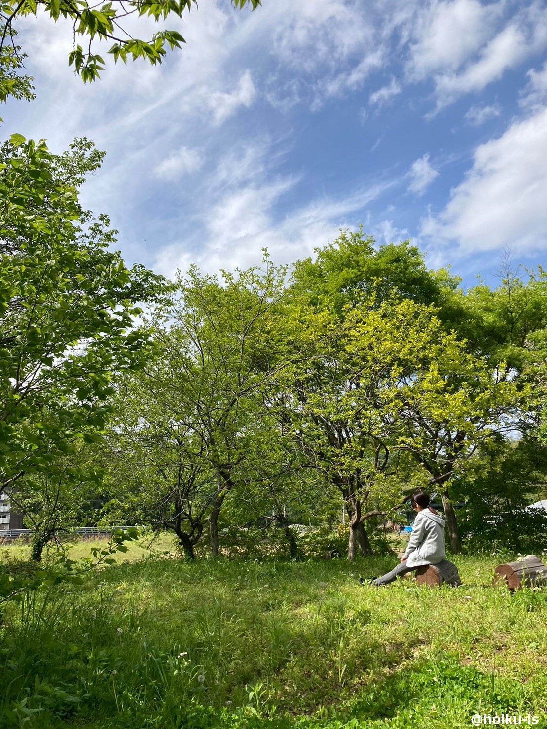 自然の中で保育する様子
