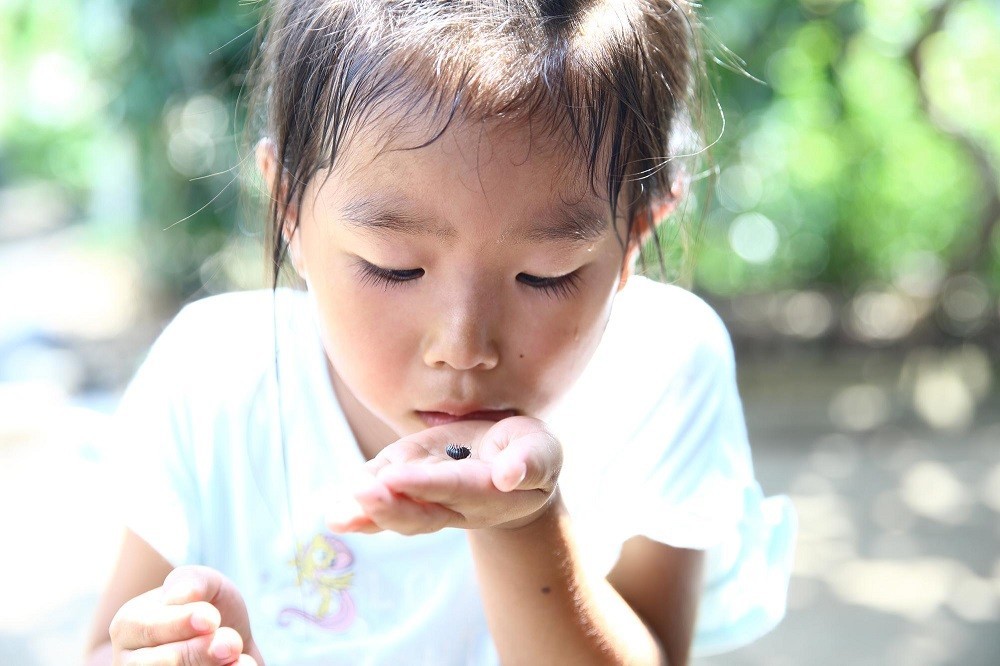 手の上に乗せたダンゴムシを観察する子ども