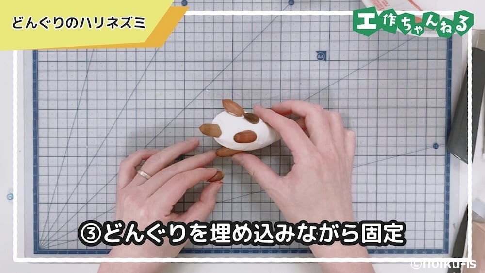 どんぐりを埋め込みながら固定