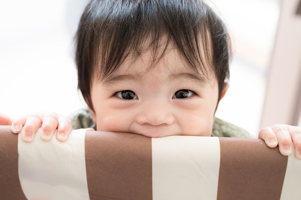柵の淵を咥えている子ども