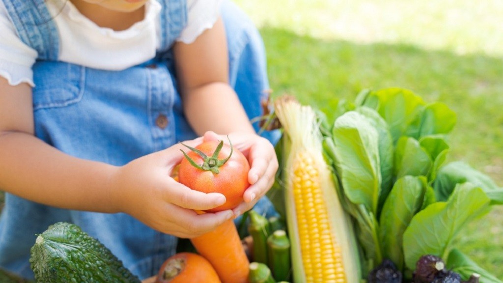 夏野菜と子ども