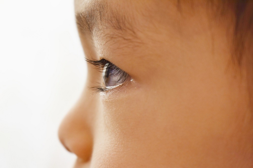 真剣な子どもの眼差し
