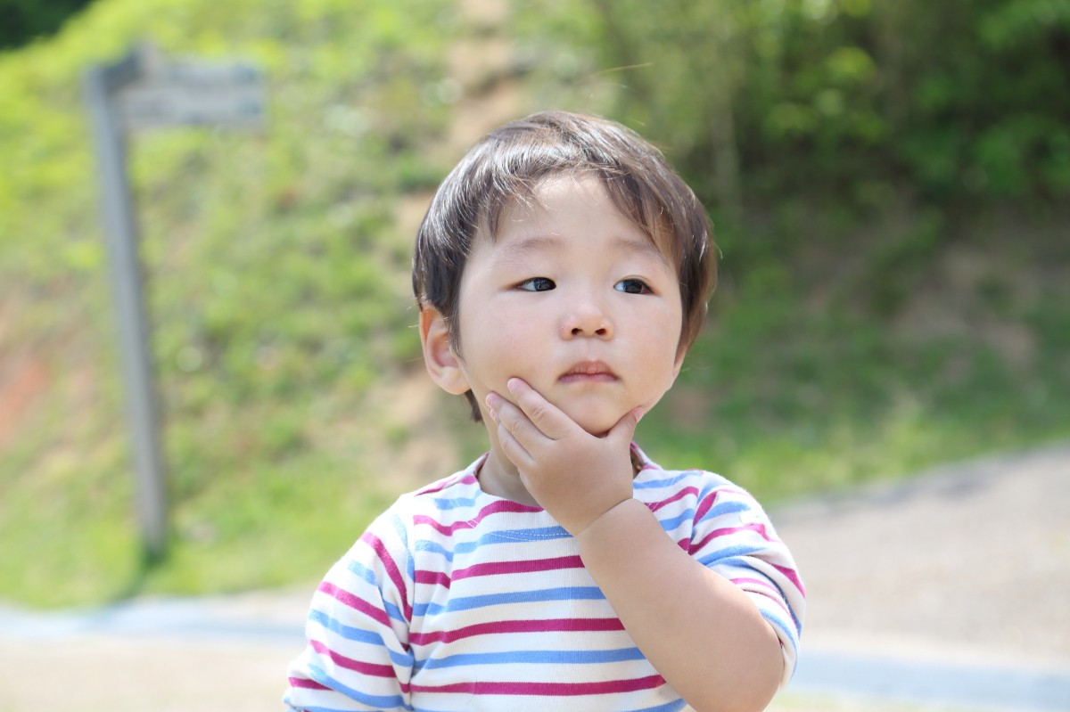 2歳前後の子どもの発達と遊び